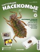 Журнал №57 "Настоящие насекомые" С ВЛОЖЕНИЕМ! Настоящая стрекоза (личинка)