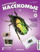 Журнал №60 "Настоящие насекомые" С ВЛОЖЕНИЕМ! Бронзовка протэтия