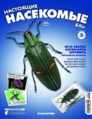 Журнал №62 "Настоящие насекомые" С ВЛОЖЕНИЕМ! Жук-златка катоксанта опулента