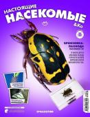 Журнал №64 "Настоящие насекомые" С ВЛОЖЕНИЕМ! Бронзовка-пахнода