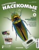 Журнал №05 "Настоящие насекомые" С ВЛОЖЕНИЕМ! Щелкун кампосостернус