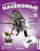 Журнал №79 "Настоящие насекомые" С ВЛОЖЕНИЕМ! Мраморный хрущ полифилла