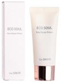 THE SAEM ECO SOUL PORE MASTER Праймер для скрытия широких пор, 30мл