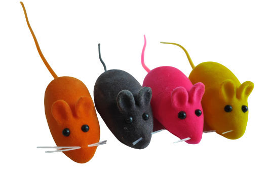 Звук кошки для мышей