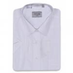 Мужская сорочка Cotland Classic