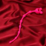Анальные бусы COSMO Woman, без вибрации, силикон, 230 х 13 мм, розовый