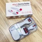 Мезороллер DERMA ROLLER 4-в-1 (125)