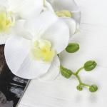 Цветы искусственные "Орхидея Изящная" 10х100 см, белый