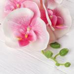 Цветы искусственные "Орхидея Изящная" 10х100 см, розовый