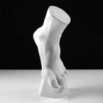 Гипсовая фигура анатомическая: стопа вертикальная, 14 х 23,5 х 38 см