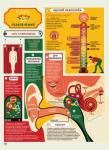 Анатомия. Картография человеческого тела