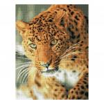 Алмазная мозаика ТРИ СОВЫ Леопард, 40*50 см, холст на деревянном подрамнике, картонная коробка с пластиковой ручкой, АМП4050_47616