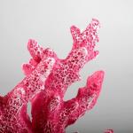 Интерьерный сувенир "Коралл" 24*19см розовый