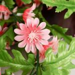 Цветы искусственные "Керрия" 4х65 см, розовый