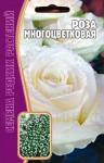 Роза Морщинистая 10шт (Ред.сем)