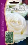 Роза Многоцветковая Белая 7шт (Ред.Сем)