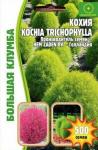 Кохия (Kochia trichophylla) Большая клумба 500шт (Ред.сем)