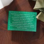 Амулет "Монета Нанбу"