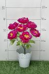 Букет цветов "Пионы" 41 см (SF-5135) в ассортименте