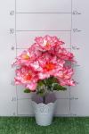 Букет цветов "Пионы" 45 см (2 шт) SF-5133, в ассортименте