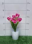 Букет цветов "Тюльпаны" 34 см (SF-5073) в ассортименте