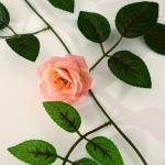 Лиана "Роза чайная" 1,9 м (цена за 1 шт, в упаковке 2 шт) микс