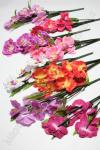 Букет цветов "Орхидея" 60 см (R-50) в ассортименте