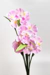Букет цветов "Орхидея" 60 см (R-50) в ассортименте