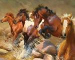 Галоп лошадей по каменистой реке
