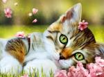 Зеленоглазый котёнок среди цветов