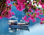 Вид на яхту сквозь розовые цветы