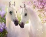 Белоснежные лошади среди цветов