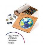 Деревянный пазл с двухслойной крышкой "Планета Земля" M
