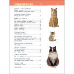 Энциклопедия для детского сада «Кошки и котята»