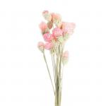 Сухоцвет «Гомфрена шаровидная» набор — от 17 до 20 шт., цвет розовый