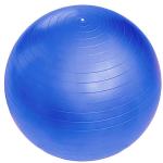 Фитбол Sportage 55 см 600гр, голубой