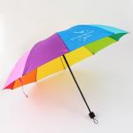 Зонт радужный «Время дождя и чудес», 10 спиц.