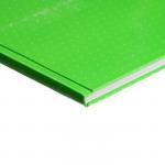 Книга учета, 96 листов, обложка картон 7БЦ, блок ГАЗЕТНЫЙ, линия, цвет зеленый