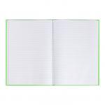 Книга учета, 96 листов, обложка картон 7БЦ, блок ГАЗЕТНЫЙ, линия, цвет зеленый