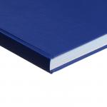 Книга учета, 192 листа, обложка бумвинил, блок ГАЗЕТНЫЙ, клетка, цвет синий