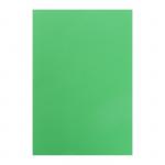 Бумага цветная А4 500л Calligrata Интенсив Зеленый 80г/м2