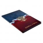 Книга учета, 96 листов, обложка картон 7БЦ, блок ГАЗЕТНЫЙ, клетка, РФ, сине-красный