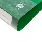 Папка на 2 кольцах А4, Calligrata, 40 мм, 700 мкм, карман на торце, зеленая