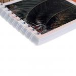 Альбом для рисования А4, 60 листов на гребне "Путешествие", обложка мелованный картон, блок 100 г/м2