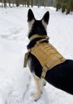 Модульный жилет для собак K9 Tactical (хаки-песок) L (шея – 58-83 см, грудь – 68-93 см, вес – 30-45 кг)
