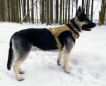 Модульный жилет для собак K9 Tactical (хаки-песок) L (шея – 58-83 см, грудь – 68-93 см, вес – 30-45 кг)