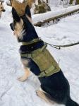 Разгрузочный жилет для собак K9 Tactical (хаки-олива) XL (шея – 71-96 см, грудь – 88-114 см, вес – 45-60 кг)