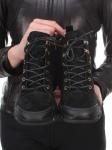 01-CMG03-4 BLACK Ботинки женские (натуральная замша, байка) размер 37