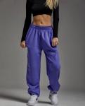 Спортивные штаны женские 4504 "Однотонные-Пояс Резинка" Фиолетовые