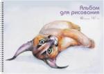 Альбом для рис.40,греб,Рысь,АС402483